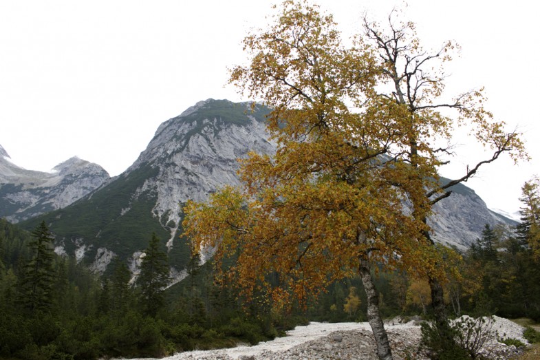 Herbststimmung kommt langsam auf